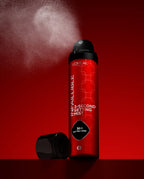 L'oreal Infallible Setting Spray Mist